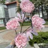 4 fourchettes pivoine