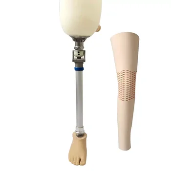 Leg Prosthesis Medical Artificial Limbs Prosthetic Leg Above Knee Leg Prosthesis Medical Artificial Limbs Prosthetic Leg Above Knee