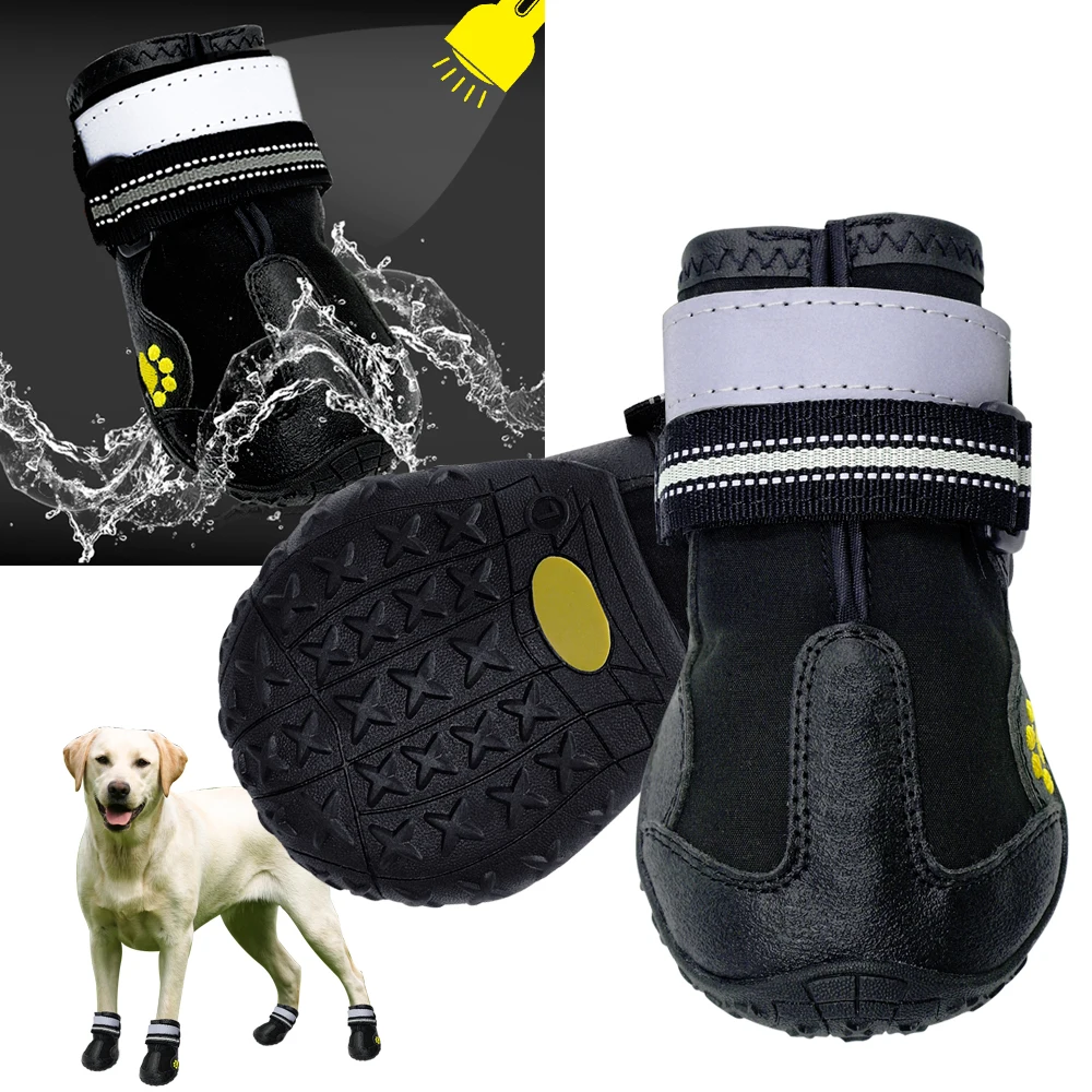 Should Dogs Wear Shoes In Snow