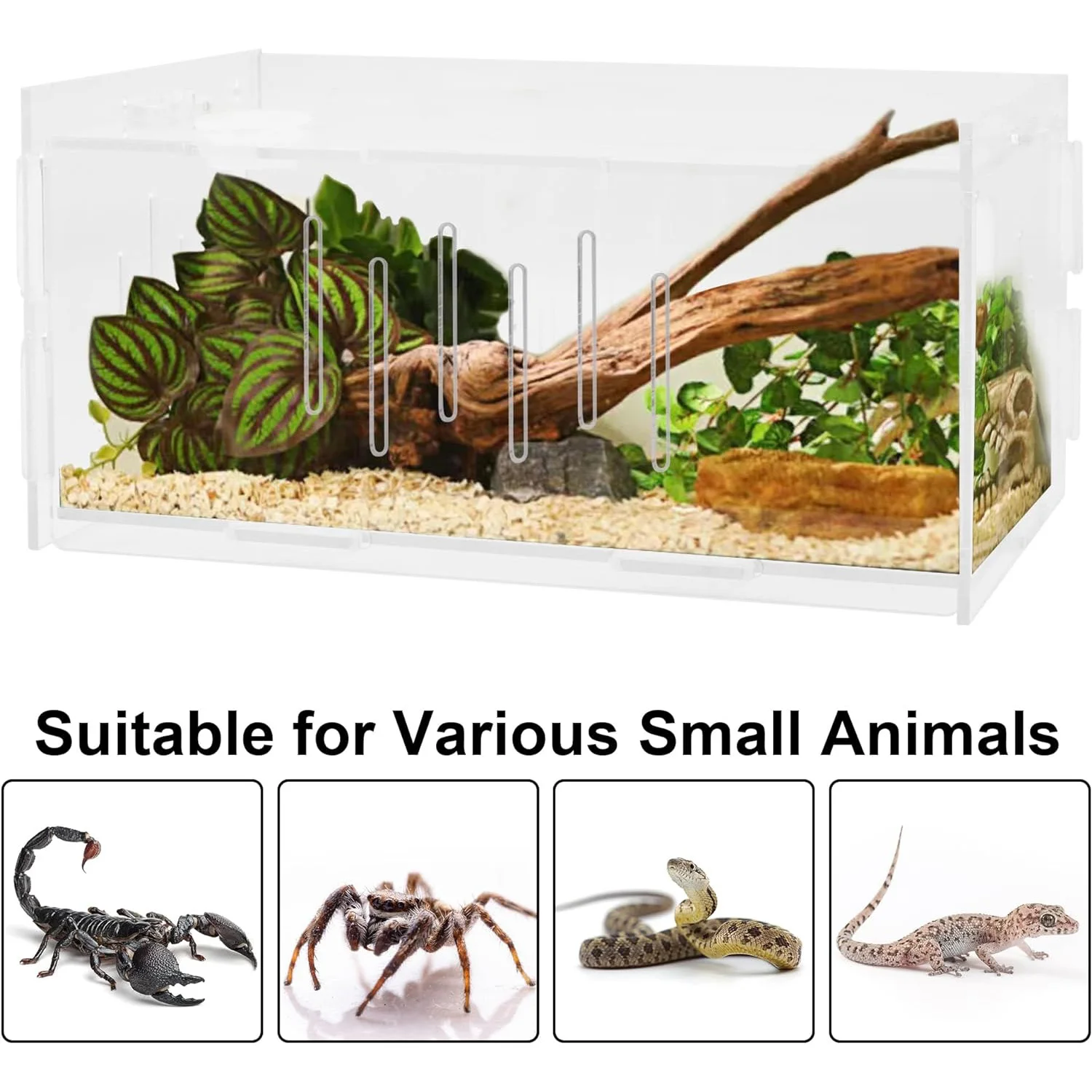Custom Clear Reptile Terrarium Aquarium Breeding Tank Acrylic Tarantula Spider Enclosure Feeding Box Insect Habitat for Lizard