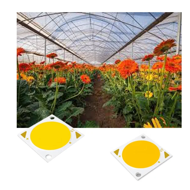 Getian COB 2828 1812 3500K RA90 50W 80W 100W LED for grow lamp