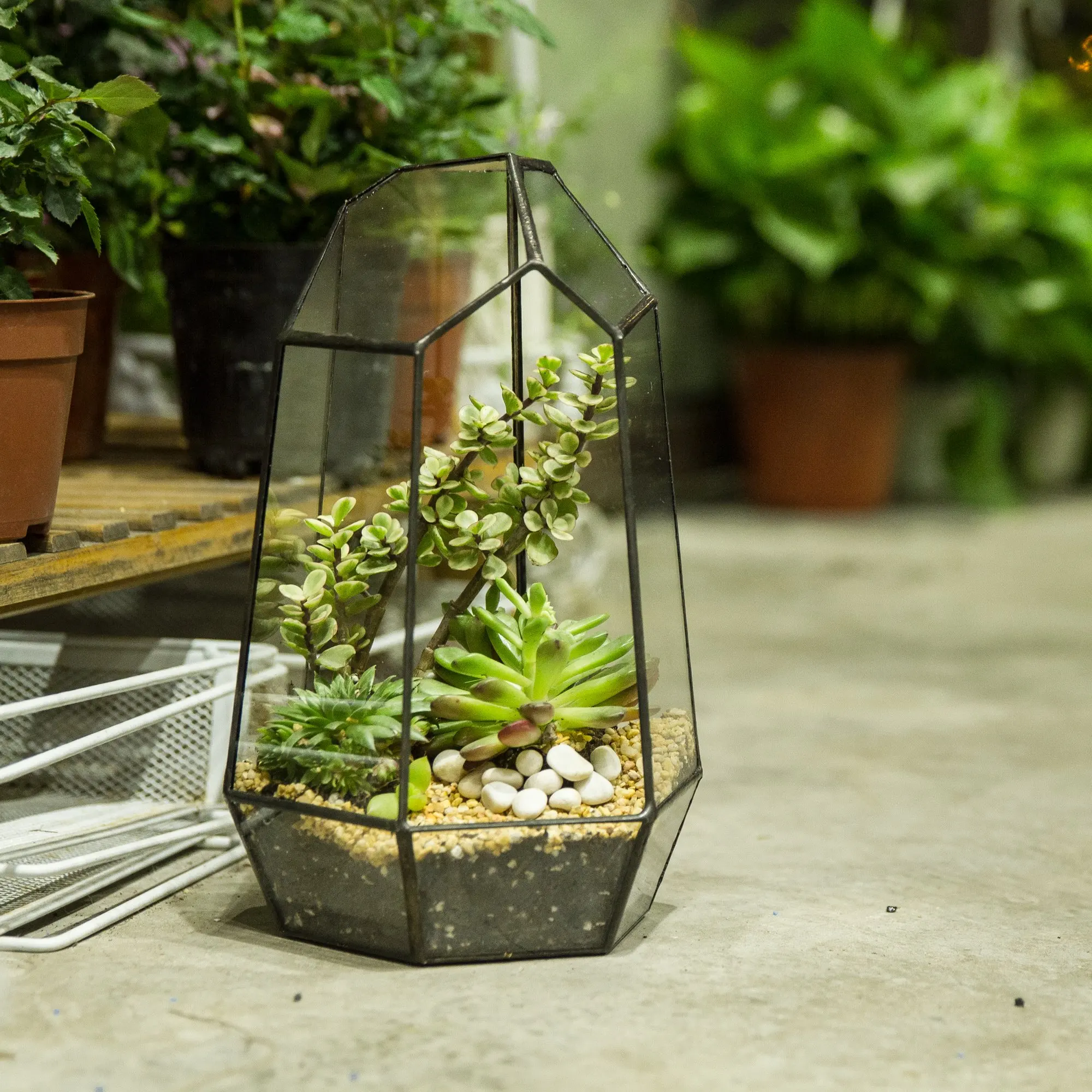 Art Deco-Inspired Table Top Plant Terrarium Wooden Frame Light Bulb Glass Vase Metal Rotating Stand Retro Hydroponics Design