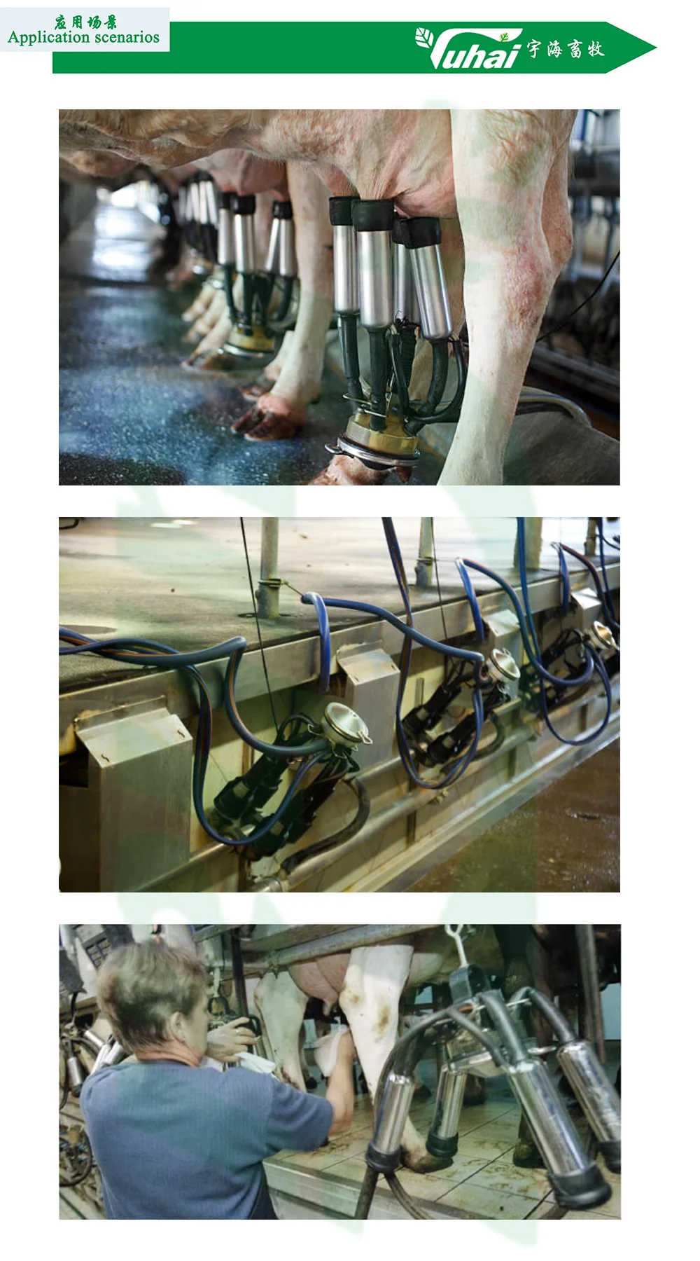 350cc  Milk Claw//milk Cluster Group supplier