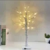 Luz Blanca del abedul DE LOS 60CM-LED
