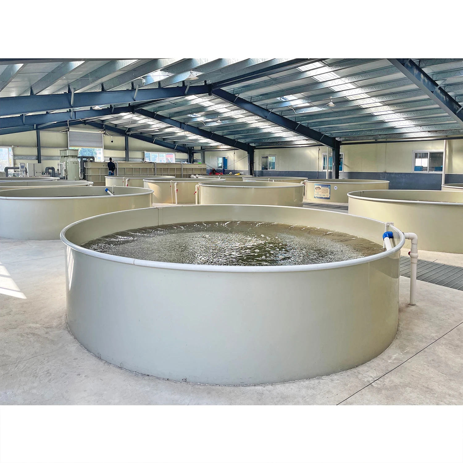 Industrial Ras Aquaculture Farming Fish Farming Machine Tilapia Recirculating Aquaculture System Pisciculture Equipment