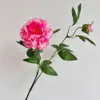 Rose red
