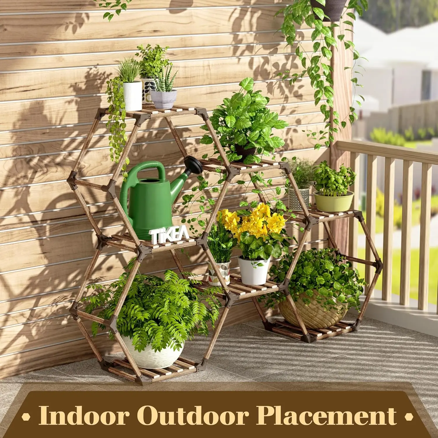 parlor palm propagation Parlor Palm | Tropical Indoor Plants & Houseplants Delivery
