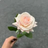แชมเปญ