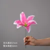 Lys simple - rose foncé