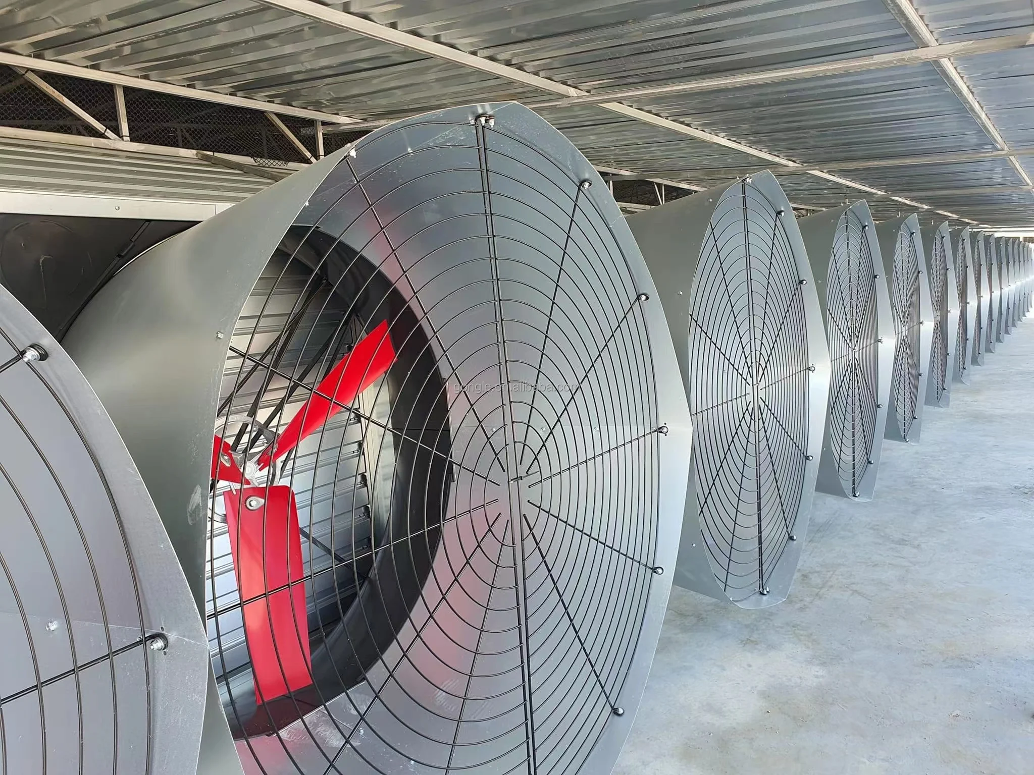 Poultry Multifan Shutter Cone Fans Poultry Ventilation Exhaust Fans for Poultry Greenhouse