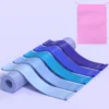 [Lot de 5] [Bleu] Ensemble de sacs de rangement
