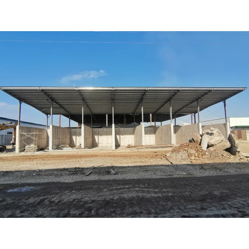 Direct China Supplier Factory Building Design Cyprus Steel Structure Warehouse