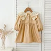 A6095 cachi