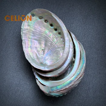 CELION Factory Direct Expel Negative Energy Sale Abalone Shell Wholesale Smudging Kit Abalone For Sale