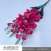 Large bunch of gladiolus YM rose red