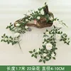 One white Diana vine vine