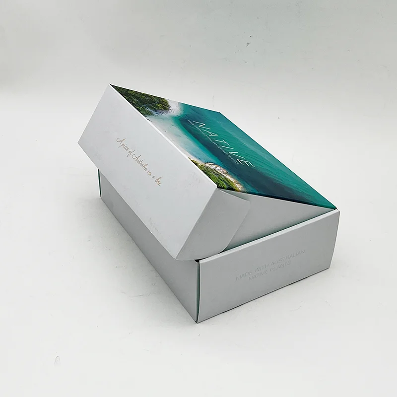Custom Printing Logo Cosmetic Corrugated Packaging Recycle Mailer Paper Box Airplane Shipping Box details