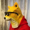 Annoying dog headgear