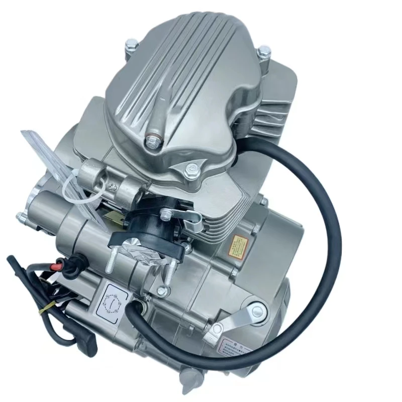 Lifan 200cc Air-cooled Motorcycle Engine For Sale - Oem | Wholesale