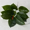 (Rubber tree short branches 18cm, dark green)