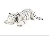 Tiger5