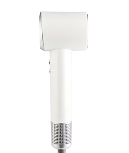 High-Speed Household Hair Dryer with Diffuser Nozzle