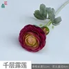 Thousand Layer Dew Lotus MHHC 10 Purple