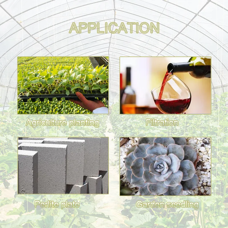 Hotsale Horticulture Expanded Perlite 2-8mm XYKY Brand White PH 6.5-7.5 High Quality