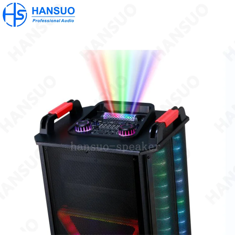 Dual 12 Inch Led Light Big Dj Party Speaker Subwoofer Karaoke Home ...