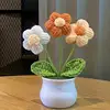 orange 3 flowers