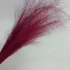 Rosa rossa