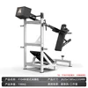 F104 pendulum squat