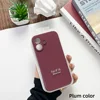 Plum color