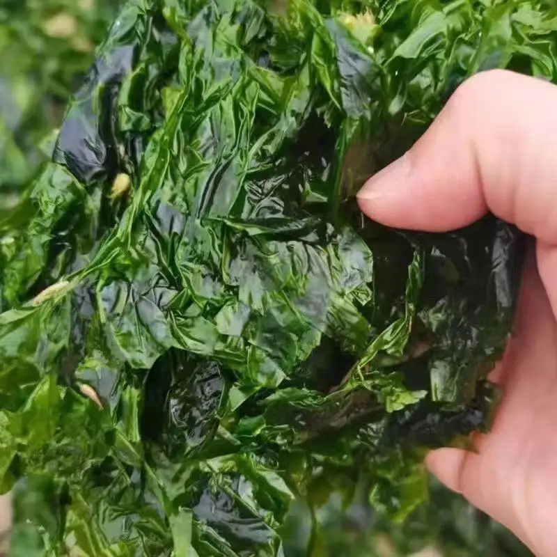 Shop Sell high-quality green seaweed extract organic fertilizer at the most favorable price-Detailed Image 3
