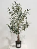 Green 90cm