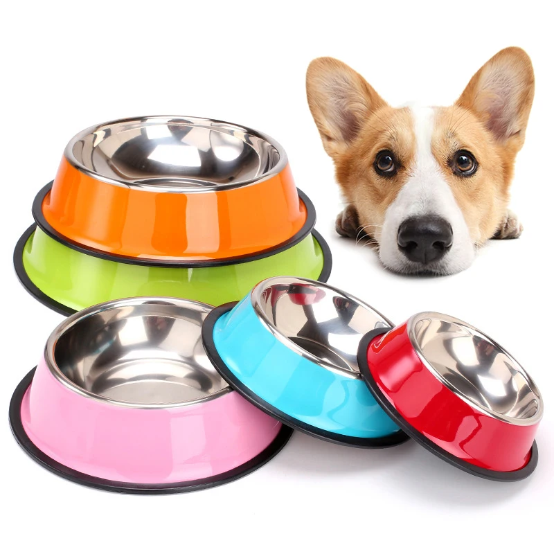 smart bowl for pets