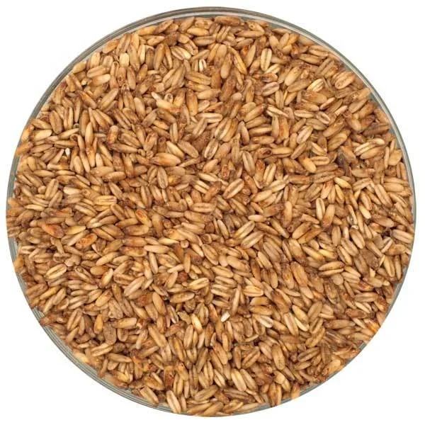 Oats Grain1