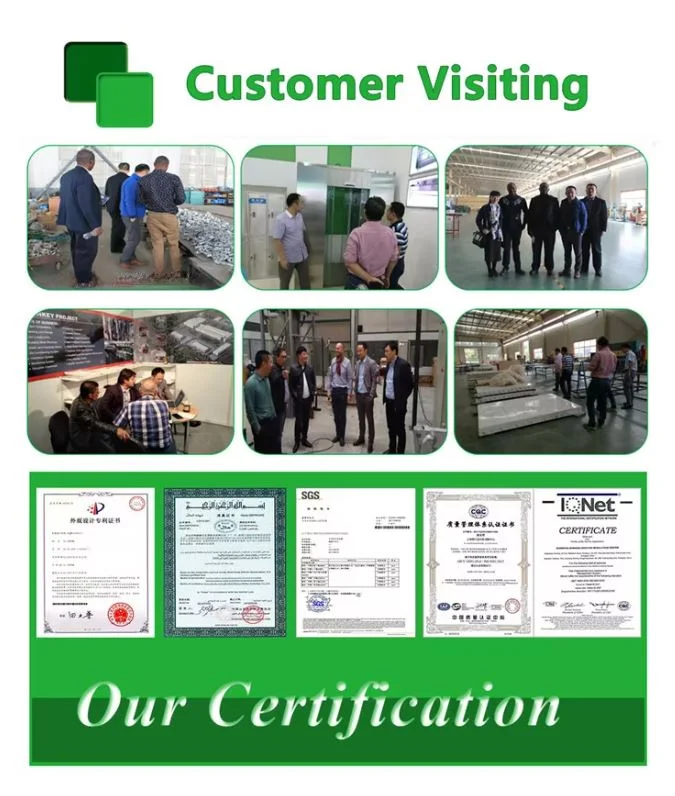 Turnkey Sheep Slaughterhouse Project | One-Stop Automation Equipment and Construction Solutions