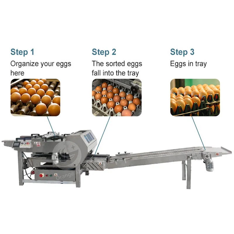 ORME Automated Chicken Egg Pack Machine Paper Pulg Egg Pack Machine Egg Pack Machine