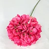 สีชมพู