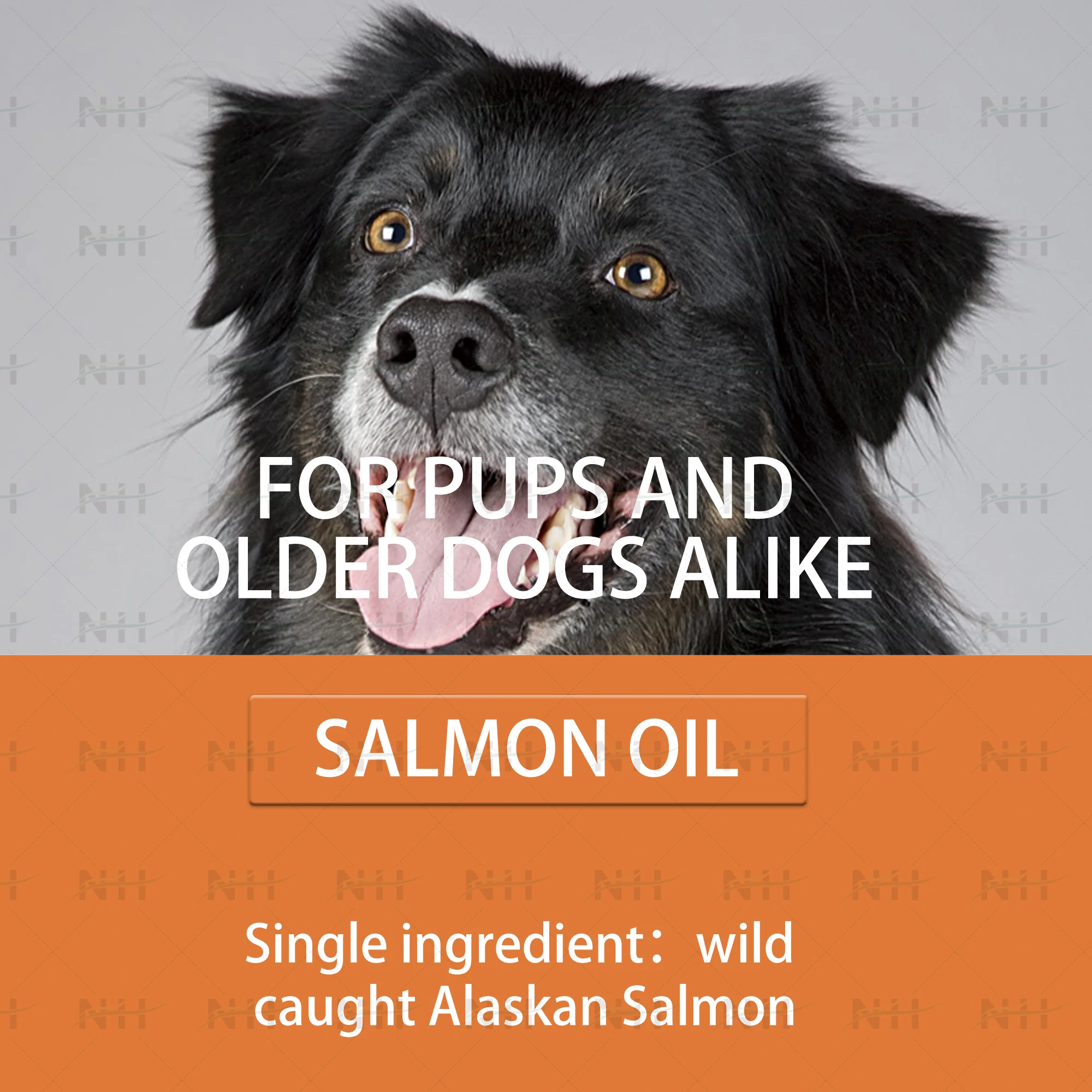 Pure Wild Alaskan Salmon Oil For Dogs Cats Joint Skin Health