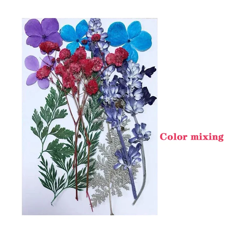 Wholesale Natural Flowers Dried Flowers For Resin Buy Dried Flowers,Dried Flowers For Resin