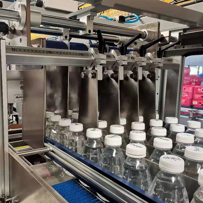 Automatic Case Packer Carton Box Packing Machine