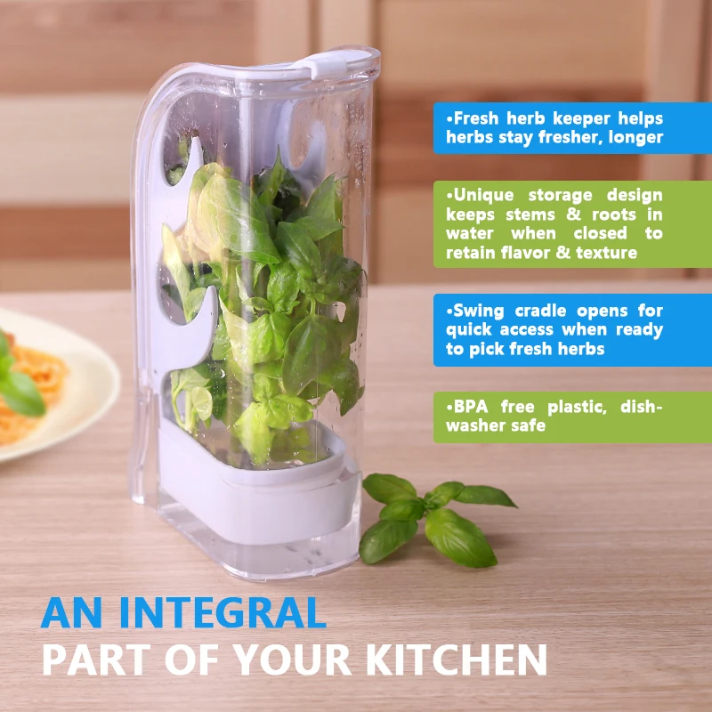 Vegetable Saver Fresh Herb Keeper And Herb Storage Container Produce