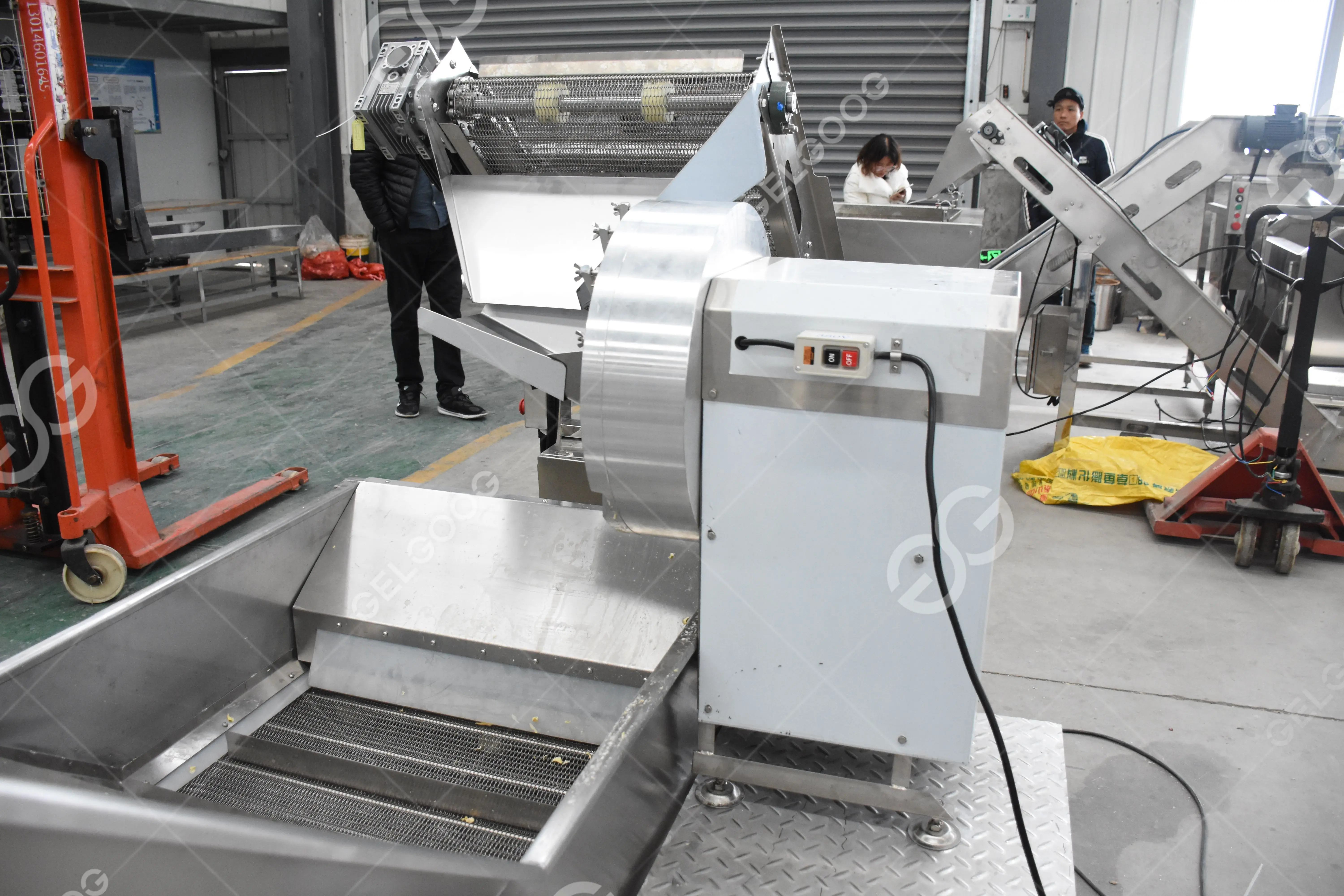 50Kg Per Hr Chilli Grass Processing Plant and Garlic Turmeric Powdered Paste Making Machine Production Line of Ginger Powder