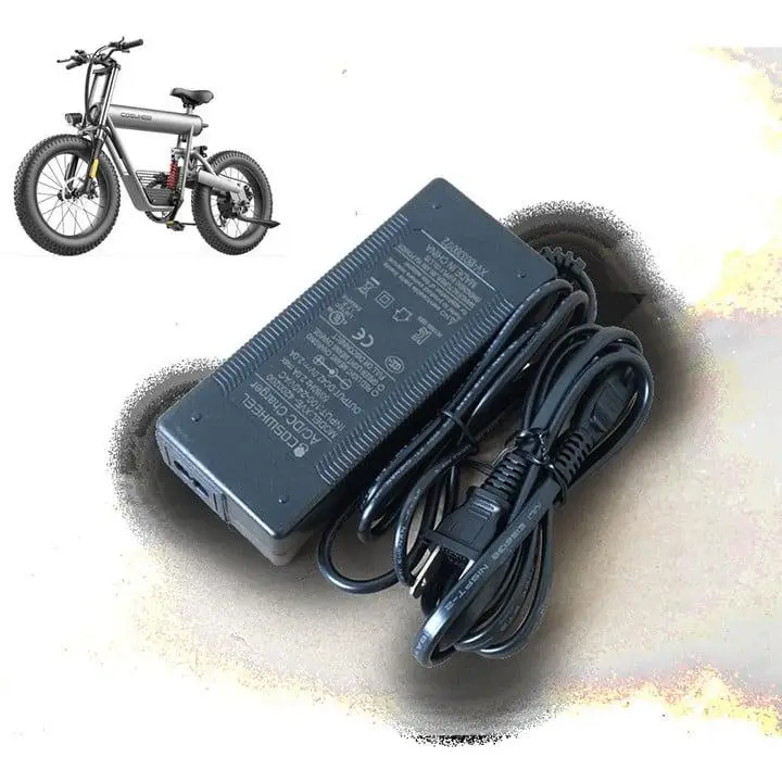 EBIKE CHARGER 48v for T20 T20R CT20 T26 GT20 S1 F1 Electric Bike Accessories
