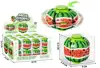 Watermelon version