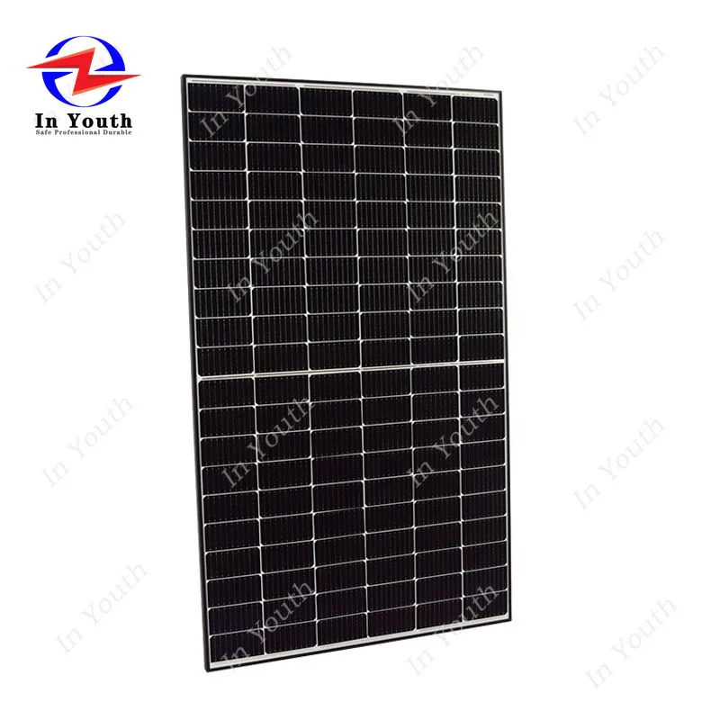 Risen 600W Bifacial Mono Solar Panel - High Efficiency Dual Glass