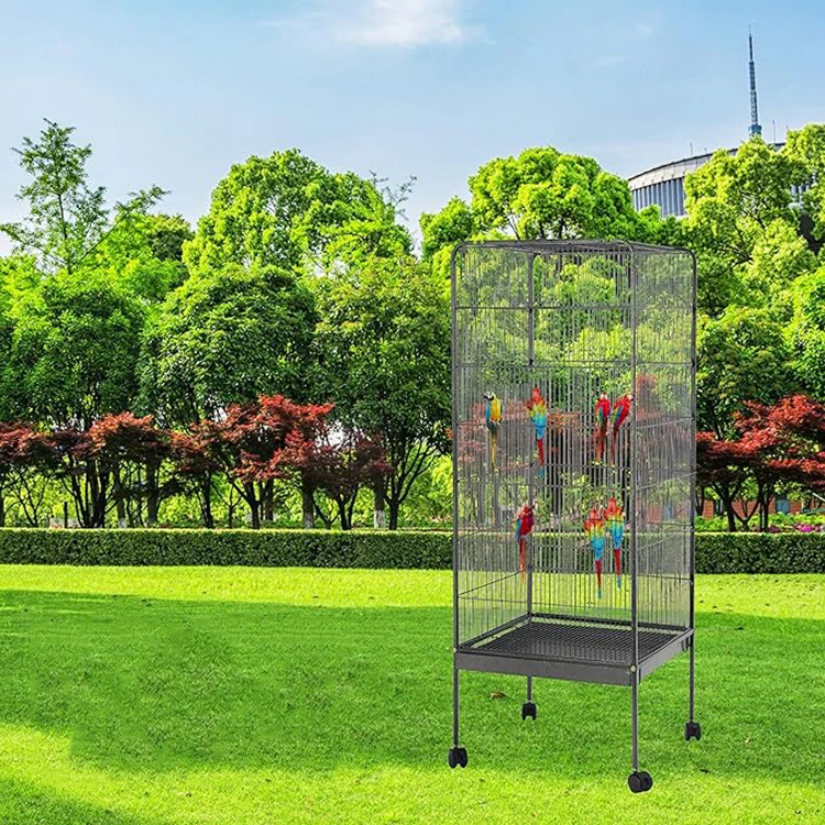Curated visual reference: Fresh Look at Metal Bird Aviary Parrot Cage Cockatiels Parakeets Animal Cage Bird