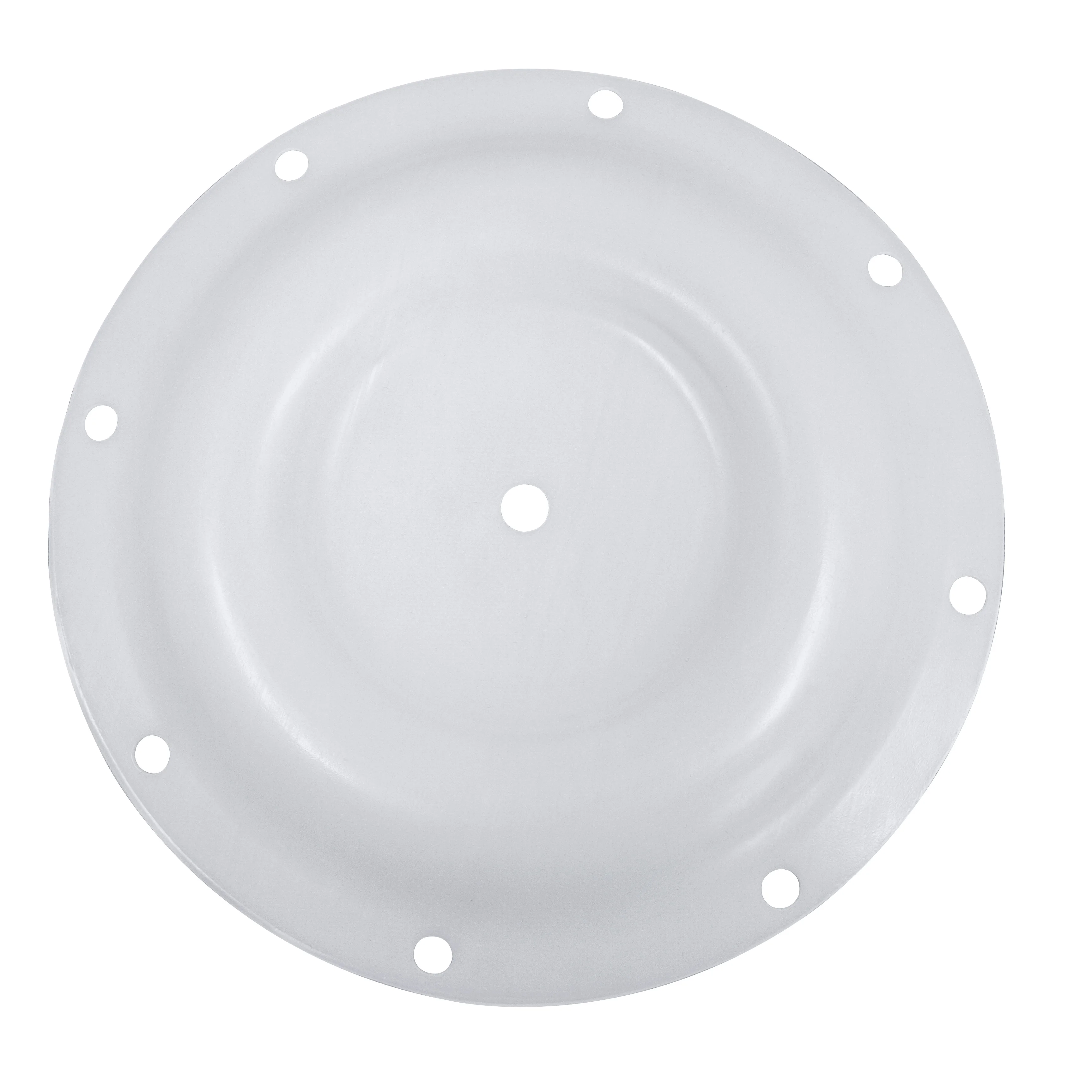 CF1A071 PTFE diaphragm